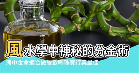 珠寶行業五行 無玄關風水